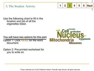 3. The Student   Activity Use the following chart to fill in the location and job of all the organelles listed.  You will have two options for this part .  Option 1: Click  HERE  for the word document. Option 2: Pre-printed worksheet for you to write on 1 2 3 6 5 4 Next These materials are © 2010 Mathew Hebert, Parkville High School, all rights reserved. 