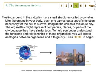 4. The Assessment Activity Floating around in the cytoplasm are small structures called organelles. Like the organs in your body, each one carries out a specific function necessary for the cell to survive. Imagine the cell as a miniature city. The organelles might represent companies, places, or parts of the city because they have similar jobs. To help you better understand the functions and relationships of these organelles, you will create analogies between organelles and a large city. Click  HERE  to begin. 1 2 3 6 5 4 Next These materials are © 2010 Mathew Hebert, Parkville High School, all rights reserved. Cell City 