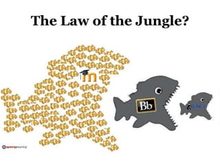 The Law of the Jungle?
 