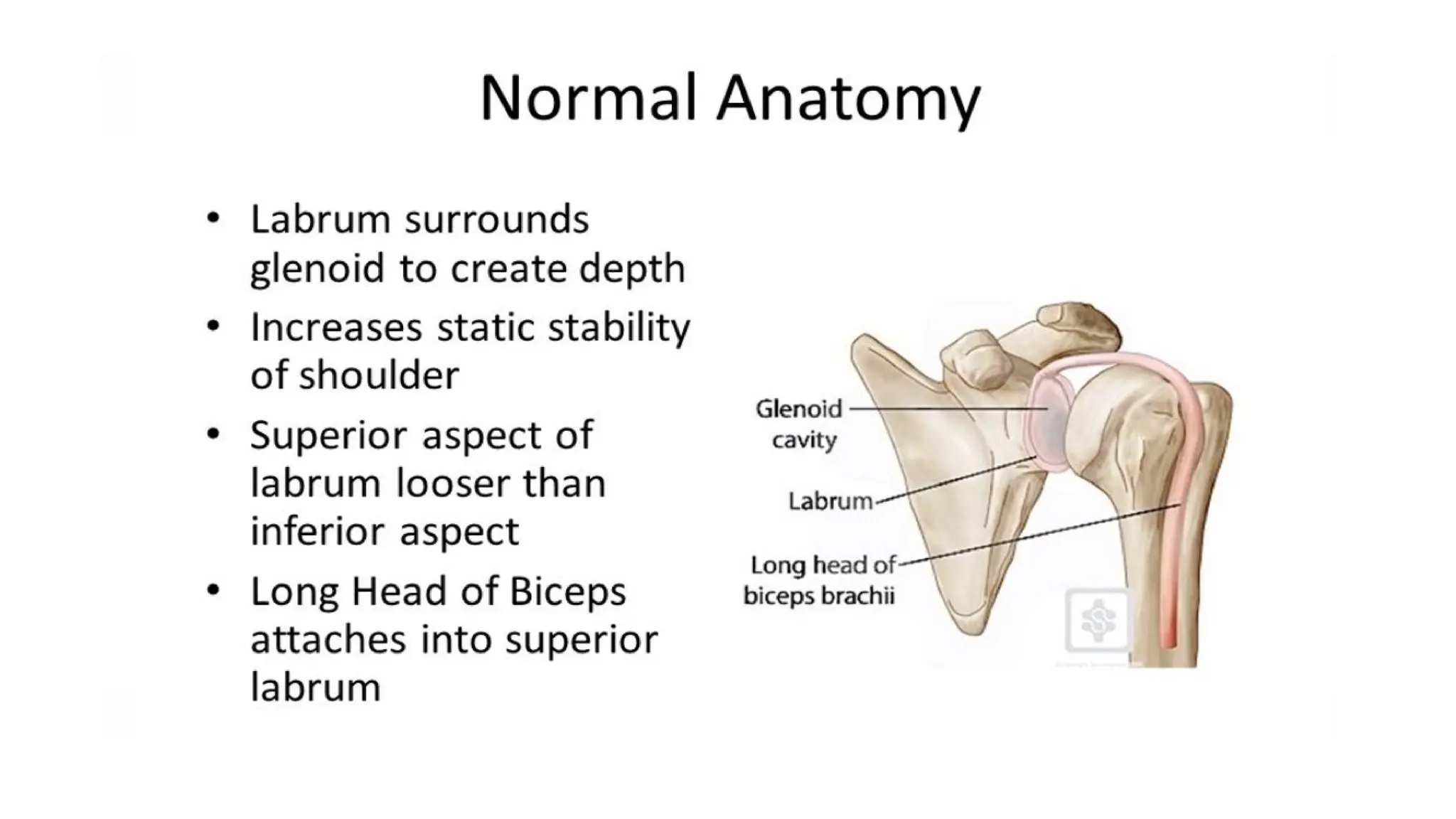 SLAP LESION CONSERVATIVE AND SPORTS REHABILITATION | PPTX