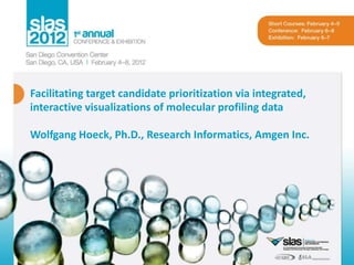 Facilitating target candidate prioritization via integrated,
interactive visualizations of molecular profiling data

Wolfgang Hoeck, Ph.D., Research Informatics, Amgen Inc.
 