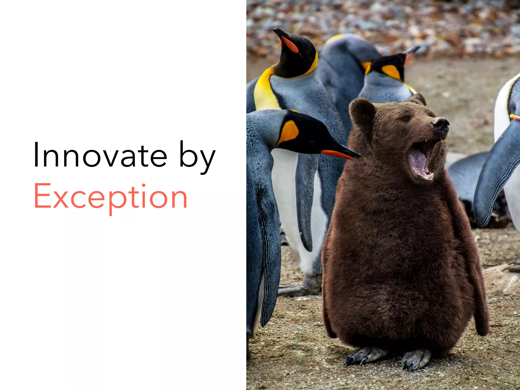 Innovate by
Exception
26