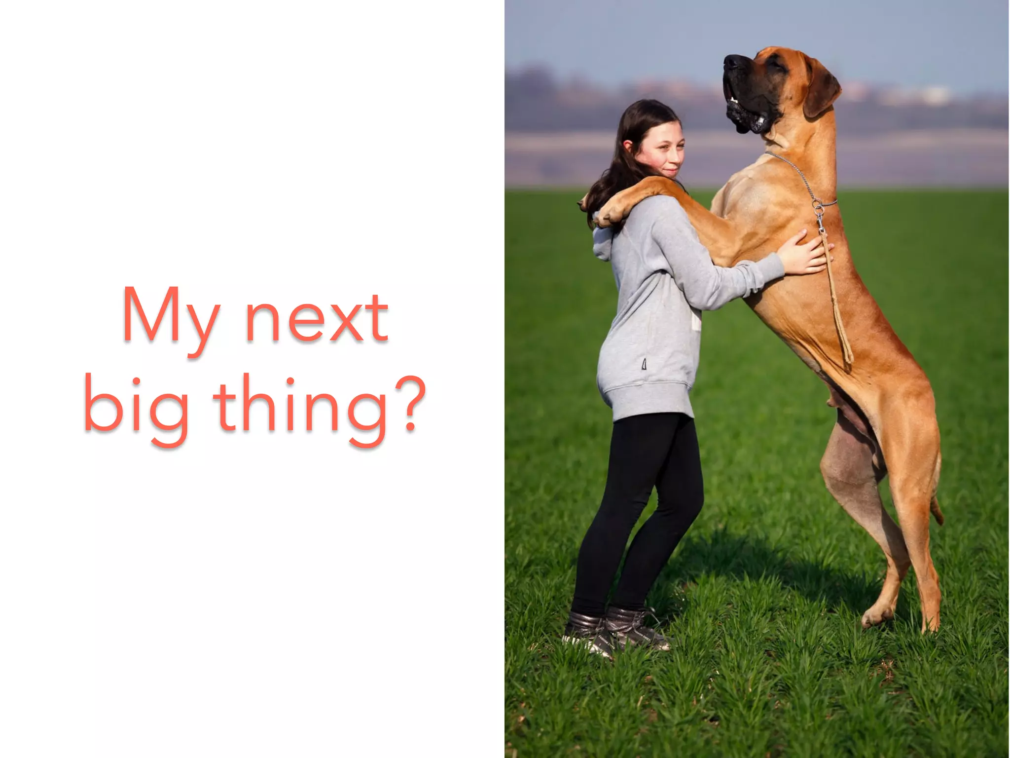 8
My next
big thing?
8