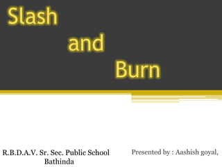 Slash
                    and
                                    Burn


R.B.D.A.V. Sr. Sec. Public School    Presented by : Aashish goyal,
            Bathinda
 