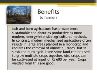 Benefits
                  to farmers

Slash and burn agriculture has proven more
 sustainable and about as productive as more
 modern, energy-intensive agricultural methods.
 In contrast, modern mechanized agriculture often
 results in large areas planted in a monocrop and
 requires the removal of almost all trees. But in
 slash and burn agriculture same land can be used
 to grow multiple crops together. Also crops can
 be cultivated at input of Rs 600 per year. Crops
 yielded from this are good.
 