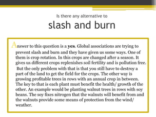Is there any alternative to

                    slash and burn
Answer to this question is a yes. Global associations are trying to
  prevent slash and burn and they have given us some ways. One of
  them is crop rotation. In this crops are changed after a season. It
  gives us different crops replenishes soil fertility and is pollution free.
   But the only problem with that is that you still have to destroy a
  part of the land to get the field for the crops. The other way is
  growing profitable trees in rows with an annual crop in between.
  The key to that is each plant must benefit the health/ growth of the
  other. An example would be planting walnut trees in rows with soy
  beans. The soy fixes nitrogen that the walnuts will benefit from and
  the walnuts provide some means of protection from the wind/
  weather.
 