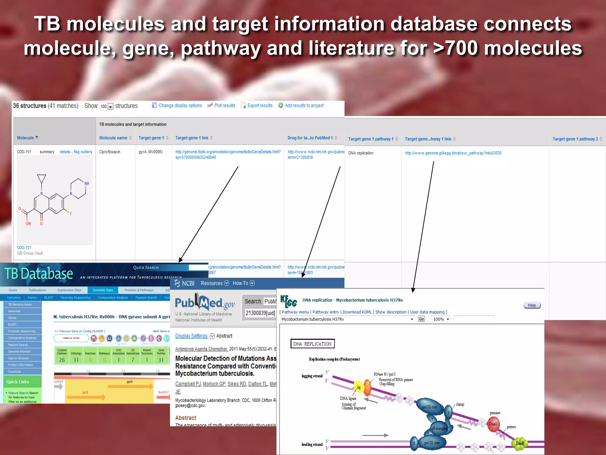 TB molecules and target information database connects
molecule, gene, pathway and literature for >700 molecules

 