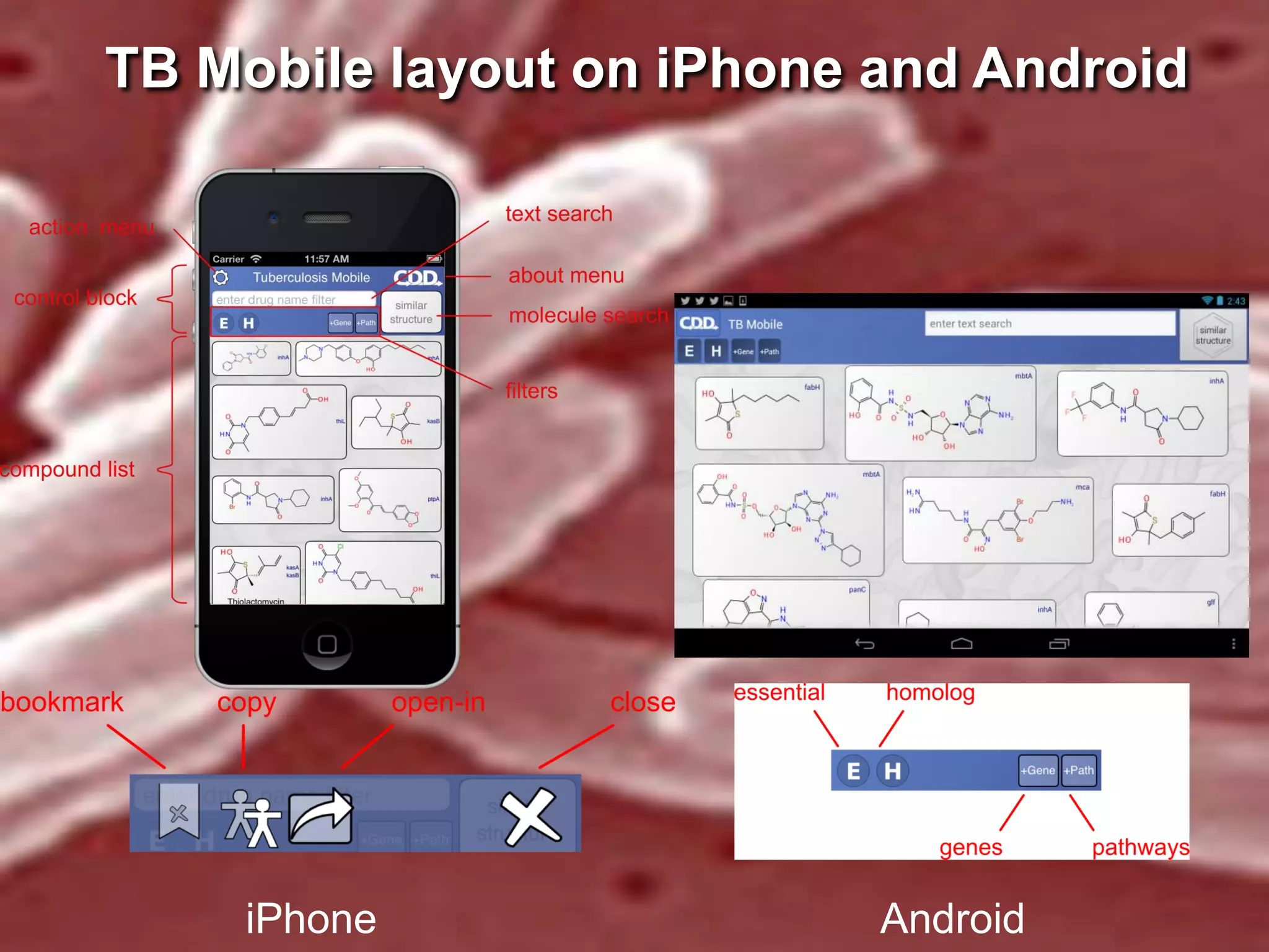 TB Mobile layout on iPhone and Android

iPhone

Android

 