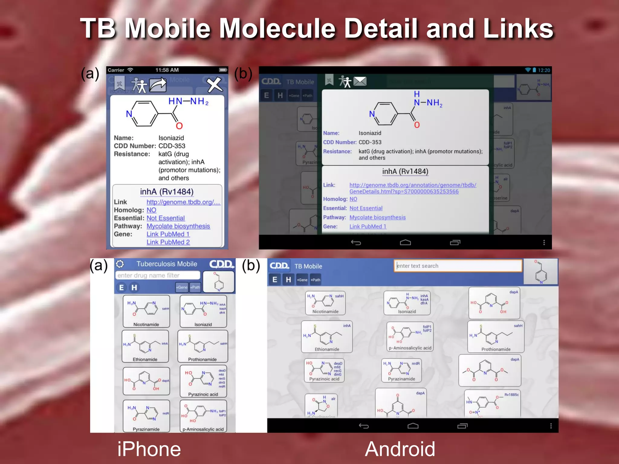 TB Mobile Molecule Detail and Links

iPhone

Android

 