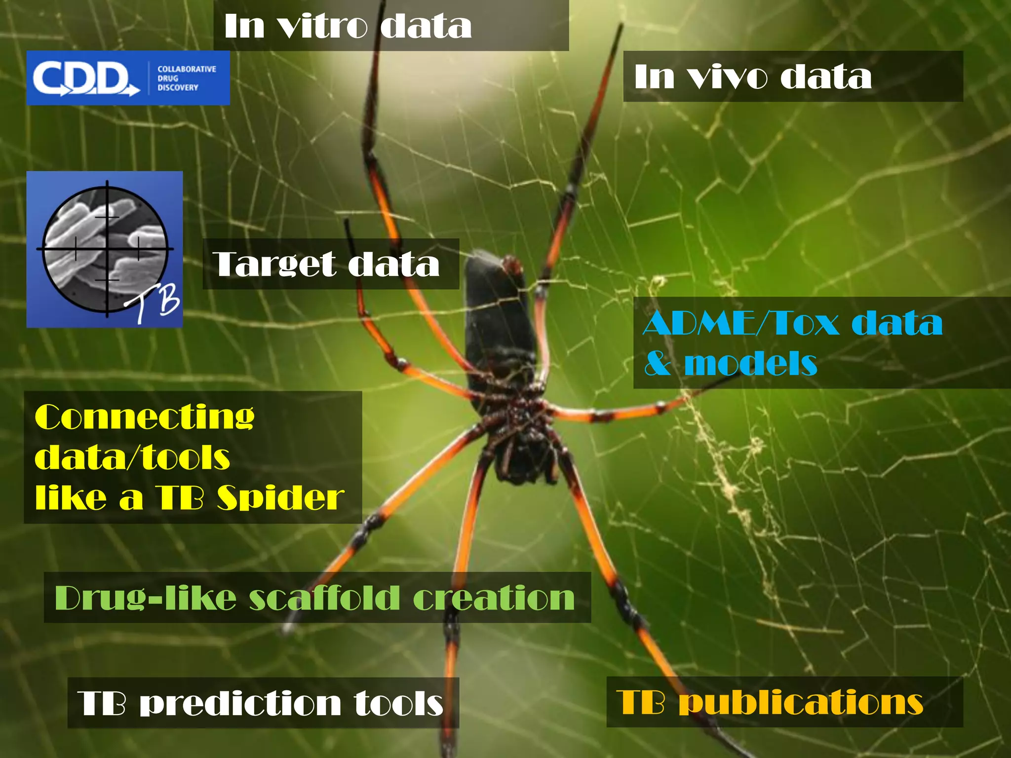 In vitro data
In vivo data

Target data

ADME/Tox data
& models
Connecting
data/tools
like a TB Spider
Drug-like scaffold creation
TB prediction tools

TB publications

 