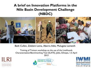 A brief on Innovation Platforms in the
 Nile Basin Development Challenge
               (NBDC)




Beth Cullen, Zelalem Lema, Aberra Adie, Mulugeta Lemenih
    Training of Trainers workshop on the use of the Livelihoods
Characterization/Benchmarking Tool (SLATE), Jeldu, Ethiopia, 1-5 April
                               2013
 