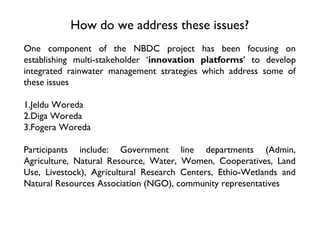 A brief on Innovation Platforms in the Nile Basin Development Challenge (NBDC)