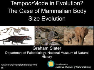 TempoorMode in Evolution?
The Case of Mammalian Body
Size Evolution

Graham Slater
Department of Paleobiology, National Museum of Natural
History
www.fourdimensionalbiology.co
m

 