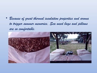 ? Because of great thermal insulation properties and aroma
to trigger summer memories, Sea weed bags and pillows
are so comfortable.
 