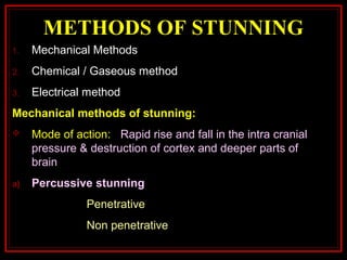 METHODS OF STUNNING
1. Mechanical Methods
2. Chemical / Gaseous method
3. Electrical method
Mechanical methods of stunning:
 Mode of action: Rapid rise and fall in the intra cranial
pressure & destruction of cortex and deeper parts of
brain
a) Percussive stunning
Penetrative
Non penetrative
 