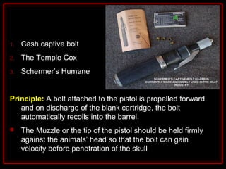 1. Cash captive bolt
2. The Temple Cox
3. Schermer’s Humane
Principle: A bolt attached to the pistol is propelled forward
and on discharge of the blank cartridge, the bolt
automatically recoils into the barrel.
 The Muzzle or the tip of the pistol should be held firmly
against the animals’ head so that the bolt can gain
velocity before penetration of the skull
 