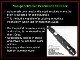 Non-penetrative Percussion Stunner
 using mushroom head and is used in calves where the
brain is collected for edible purpose
 This method is capable of producing immediate
insensibility, which last for more than 30sec.
• So, the period between stunning
and sticking is not exceed more
than 30sec.
• Successfully applied in sheep
and calves not use full in older
animals.
• In young calves intracranial
hemorrhage may occur
 