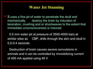 Water Jet Stunning
 It uses a fine jet of water to penetrate the skull and
mechanically destroy the brain by induction of
laceration, crushing and or shockwaves to the extent that
immediate unconsciousness is induced
- 0.5 mm water jet at pressure of 3500-4000 bars at
similar sites as CBP, drills through the skin and skull in
0.2-0.4 seconds
- Destruction of brain causes severe convulsions in
animals and it can be controlled by immobilizing current
of 400 mA applied using 40 V
 