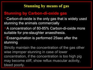 Stunning by means of gas
Stunning by Carbon-di-oxide gas
Carbon-di-oxide is the only gas that is widely used
stunning the animals commercially
A concentration of 80-85% Carbon-di-oxide more
suitable for pre-slaughter anaesthesia.
Exsanguination is performed 25sec after the
stunning
Strictly maintain the concentration of the gas other
wise improper stunning in case of lower
concentration, if the concentration is too high pig
may become stiff, show reflux muscular activity,
bleed poorly.
 