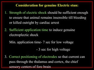 Consideration for genuine Electric stun:
1. Strength of electric shock should be sufficient enough
to ensure that animal remains insensible till bleeding
or killed outright by cardiac arrest
2. Sufficient application time to induce genuine
electroplectic shock
Min. application time- 7 sec for low voltage
- 3 sec for high voltage
3. Correct positioning of electrodes so that current can
pass through the thalamus and cortex, the chief
sensory centers of fore brain
 