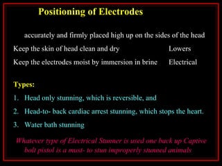 Positioning of Electrodes
Since the brain of animals is small, the electrodes should be
accurately and firmly placed high up on the sides of the head
Keep the skin of head clean and dry Lowers
Keep the electrodes moist by immersion in brine Electrical
resistance
Types:
1. Head only stunning, which is reversible, and
2. Head-to- back cardiac arrest stunning, which stops the heart.
3. Water bath stunning
Whatever type of Electrical Stunner is used one back up Captive
bolt pistol is a must- to stun improperly stunned animals
 
