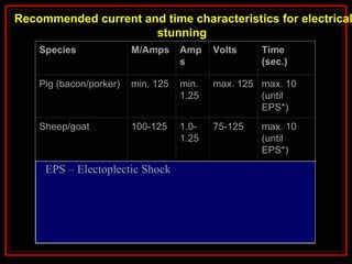 Species M/Amps Amp
s
Volts Time
(sec.)
Pig (bacon/porker) min. 125 min.
1.25
max. 125 max. 10
(until
EPS*)
Sheep/goat 100-125 1.0-
1.25
75-125 max. 10
(until
EPS*)
Poultry3
1.5-2 kg
broiler
200 2.0 50-70 5
Turkey 200 2.0 90 10
Ostrich 150-200 1.5-
2.0
90 10-15
EPS – Electoplectic Shock
Recommended current and time characteristics for electrical
stunning
 