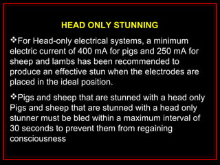 HEAD ONLY STUNNING
For Head-only electrical systems, a minimum
electric current of 400 mA for pigs and 250 mA for
sheep and lambs has been recommended to
produce an effective stun when the electrodes are
placed in the ideal position.
Pigs and sheep that are stunned with a head only
Pigs and sheep that are stunned with a head only
stunner must be bled within a maximum interval of
30 seconds to prevent them from regaining
consciousness
 