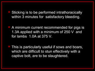  Sticking is to be performed intrathoracically
within 3 minutes for satisfactory bleeding.
 A minimum current recommended for pigs is
1.3A applied with a minimum of 250 V and
for lambs 1.0A at 375 V.
 This is particularly useful if sows and boars,
which are difficult to stun effectively with a
captive bolt, are to be slaughtered.
 