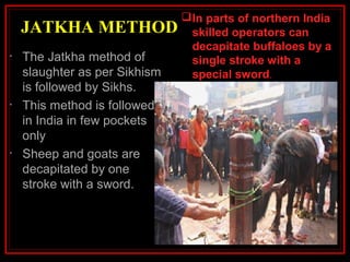 JATKHA METHOD
• The Jatkha method of
slaughter as per Sikhism
is followed by Sikhs.
• This method is followed
in India in few pockets
only
• Sheep and goats are
decapitated by one
stroke with a sword.
In parts of northern India
skilled operators can
decapitate buffaloes by a
single stroke with a
special sword.
 