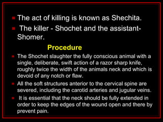 The act of killing is known as Shechita.
The killer - Shochet and the assistant-
Shomer.
Procedure
The Shochet slaughter the fully conscious animal with a
single, deliberate, swift action of a razor sharp knife,
roughly twice the width of the animals neck and which is
devoid of any notch or flaw.
All the soft structures anterior to the cervical spine are
severed, including the carotid arteries and jugular veins.
It is essential that the neck should be fully extended in
order to keep the edges of the wound open and there by
prevent pain.
 
