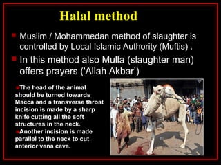 Halal method
 Muslim / Mohammedan method of slaughter is
controlled by Local Islamic Authority (Muftis) .
 In this method also Mulla (slaughter man)
offers prayers ('Allah Akbar’)
The head of the animal
should be turned towards
Macca and a transverse throat
incision is made by a sharp
knife cutting all the soft
structures in the neck.
Another incision is made
parallel to the neck to cut
anterior vena cava.
 