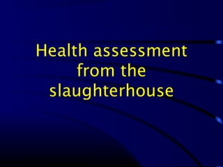 Health assessment
from the
slaughterhouse
 