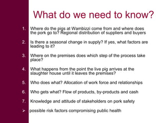  ILRI/BMZ safe food, fair food