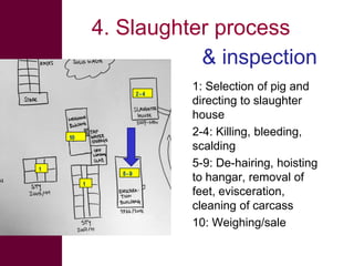  ILRI/BMZ safe food, fair food