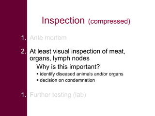  ILRI/BMZ safe food, fair food