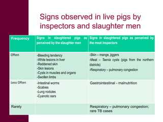 ILRI/BMZ safe food, fair food