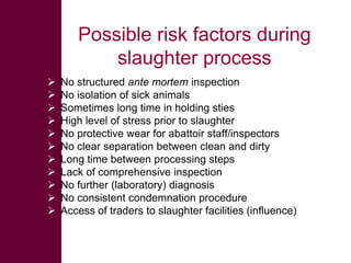  ILRI/BMZ safe food, fair food