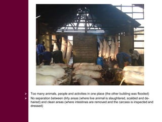  ILRI/BMZ safe food, fair food