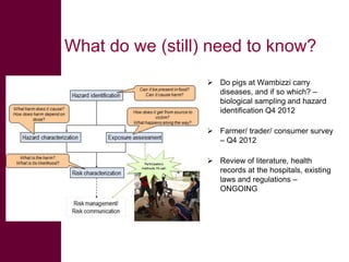  ILRI/BMZ safe food, fair food