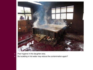  ILRI/BMZ safe food, fair food