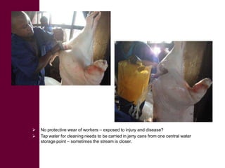  ILRI/BMZ safe food, fair food