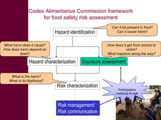  ILRI/BMZ safe food, fair food