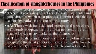 Classification of Slaughterhouses in the Philippines
•AAA: Those adequate facilities and operational
procedures of which meat processed herein is eligible for
sale in any market in and out of the country.
•AA: Those with facilities and operational procedures
sufficiently adequate that the meat processed herein is
eligible for sale in any market in the Philippines.
•A: Those facilities and operational procedure of minimum
adequacy, the meat processed herein is eligible for sale
only in the city or municipality in which plant is located.
 