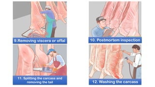 View of Slaughtering | PDF
