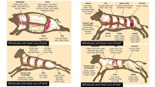 Wholesale and retail cuts of veal
Wholesale and retail cuts of lamb
Wholesale and retail cuts of beef
Wholesale and retail cuts of pork
 
