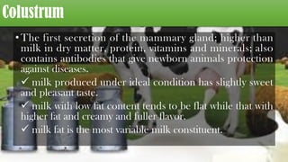 Colustrum
•The first secretion of the mammary gland; higher than
milk in dry matter, protein, vitamins and minerals; also
contains antibodies that give newborn animals protection
against diseases.
ü milk produced under ideal condition has slightly sweet
and pleasant taste.
ü milk with low fat content tends to be flat while that with
higher fat and creamy and fuller flavor.
ü milk fat is the most variable milk constituent.
 