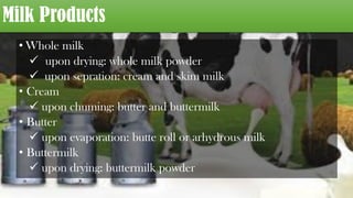 Milk Products
• Whole milk
ü upon drying: whole milk powder
ü upon sepration: cream and skim milk
• Cream
ü upon chuming: butter and buttermilk
• Butter
ü upon evaporation: butte roll or arhydrous milk
• Buttermilk
ü upon drying: buttermilk powder
 