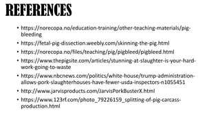 REFERENCES
• https://norecopa.no/education-training/other-teaching-materials/pig-
bleeding
• https://fetal-pig-dissection.weebly.com/skinning-the-pig.html
• https://norecopa.no/files/teaching/pig/pigbleed/pigbleed.html
• https://www.thepigsite.com/articles/stunning-at-slaughter-is-your-hard-
work-going-to-waste
• https://www.nbcnews.com/politics/white-house/trump-administration-
allows-pork-slaughterhouses-have-fewer-usda-inspectors-n1055451
• http://www.jarvisproducts.com/JarvisPorkBusterX.html
• https://www.123rf.com/photo_79226159_splitting-of-pig-carcass-
production.html
 