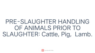 PRE-SLAUGHTER HANDLING
OF ANIMALS PRIOR TO
SLAUGHTER: Cattle, Pig, Lamb.
 
