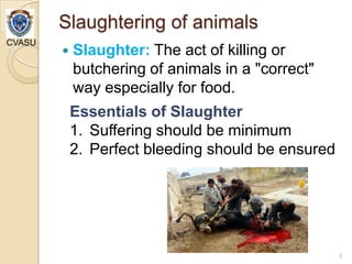 Methods of slaughtering, processing & postmortem changes and ageing of meat